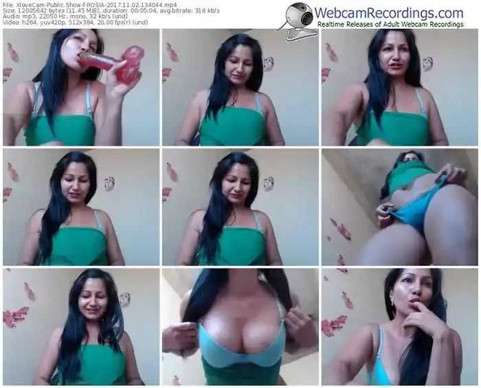 xlovecam-rosia-webcam-show-11_02_2017-13_40_44