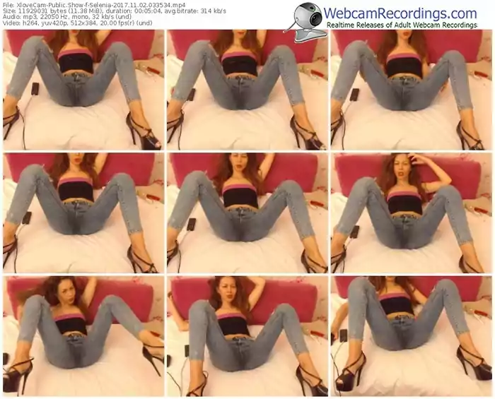 xlovecam-selenia-webcam-show-11_02_2017-03_35_34