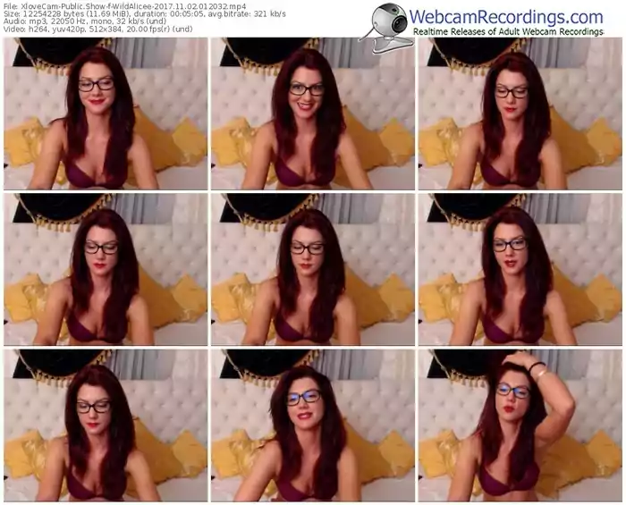 xlovecam-wildalicee-webcam-show-11_02_2017-01_20_32