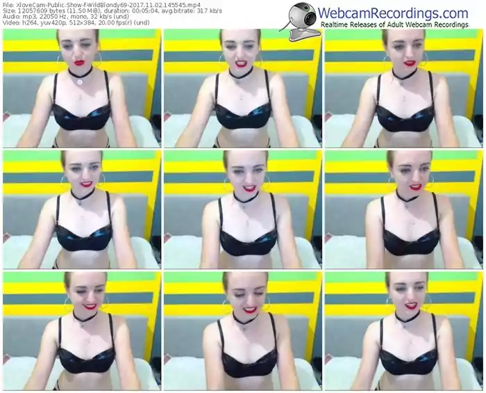 xlovecam-wildblondy69-webcam-show-11_02_2017-14_55_45