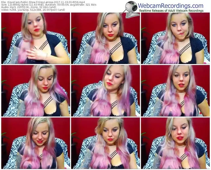 xlovecam-greylarissa-webcam-show-11_03_2017-01_45_56
