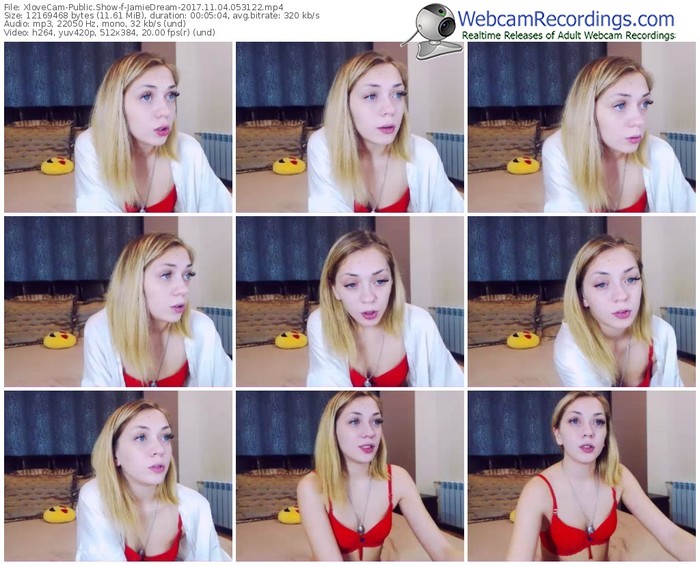 xlovecam-jamiedream-webcam-show-11_04_2017-05_31_22