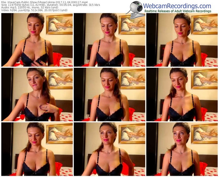 xlovecam-rosecokine-webcam-show-11_04_2017-00_01_17