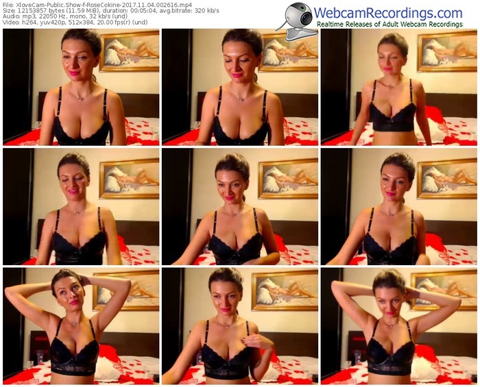 xlovecam-rosecokine-webcam-show-11_04_2017-00_26_16