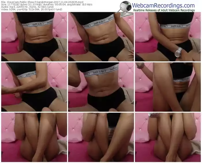 xlovecam-sandymorgan-webcam-show-11_04_2017-20_26_35
