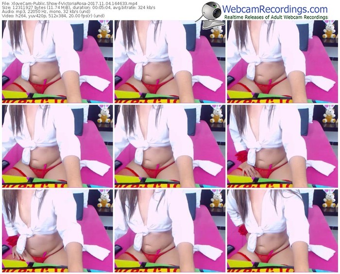xlovecam-victoriarosa-webcam-show-11_04_2017-16_46_33