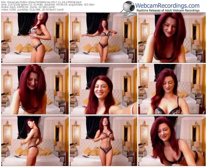 xlovecam-wildalicee-webcam-show-11_04_2017-23_56_38