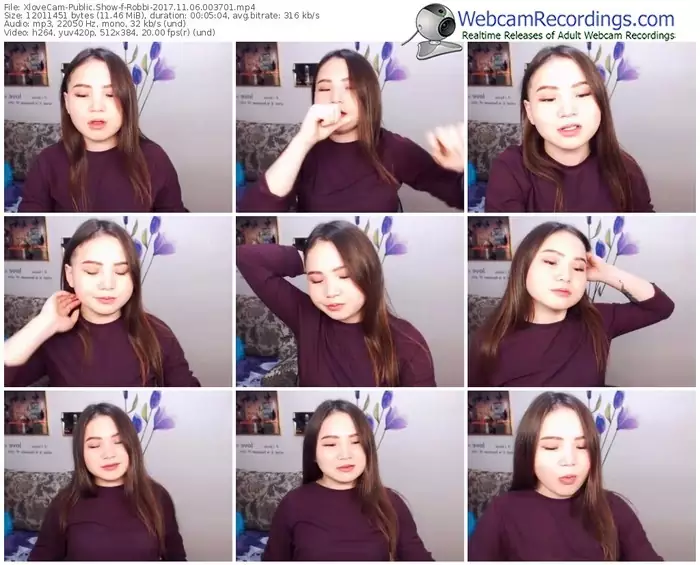 xlovecam-robbi-webcam-show-11_06_2017-00_37_01