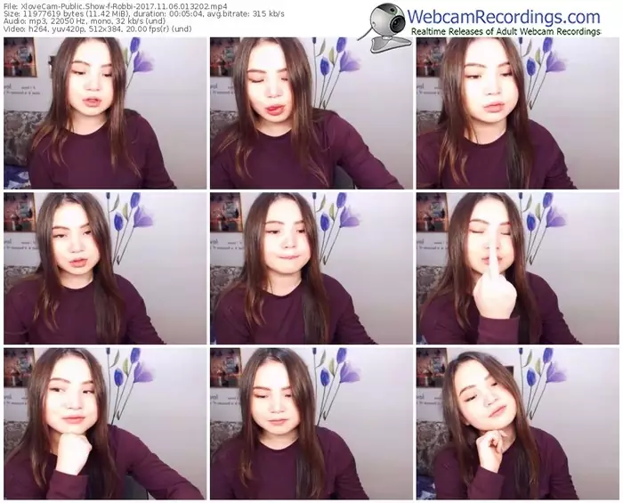 xlovecam-robbi-webcam-show-11_06_2017-01_32_02