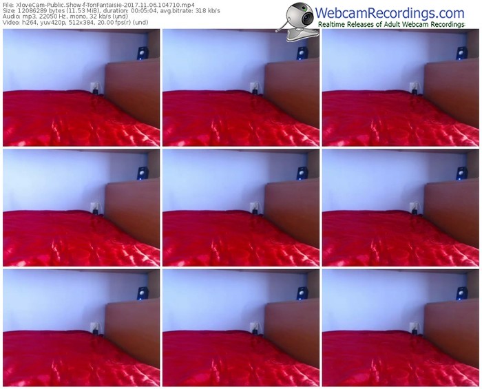 xlovecam-tonfantaisie-webcam-show-11_06_2017-10_47_10