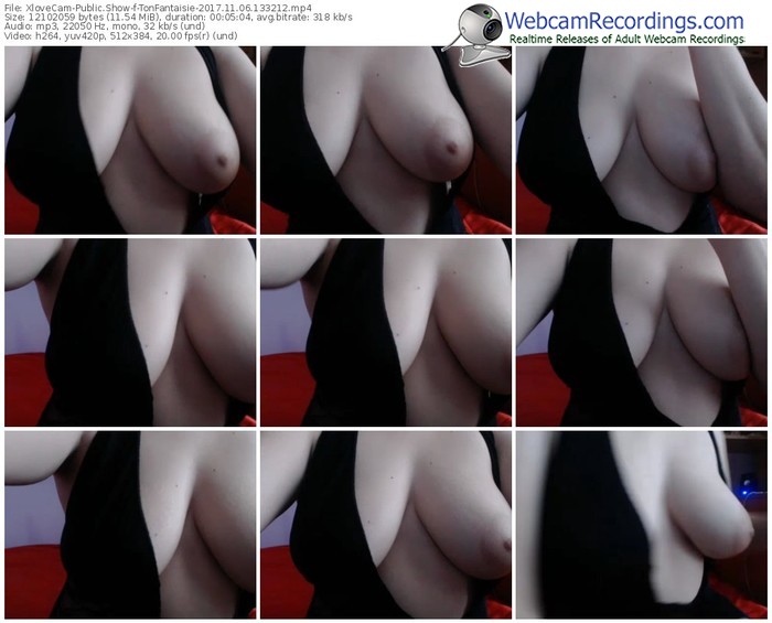 xlovecam-tonfantaisie-webcam-show-11_06_2017-13_32_12