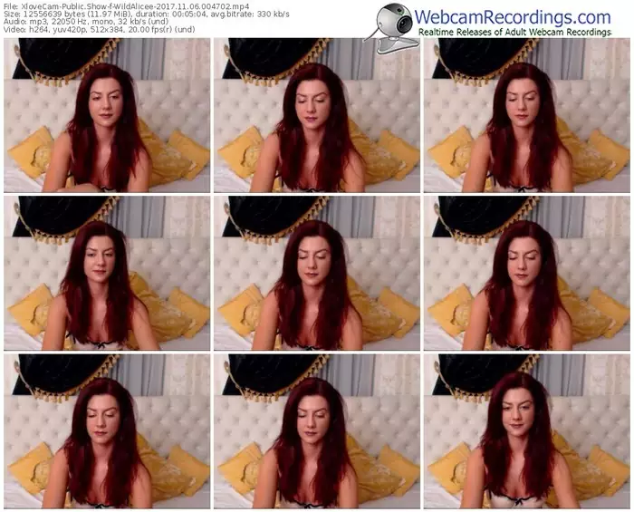 xlovecam-wildalicee-webcam-show-11_06_2017-00_47_02