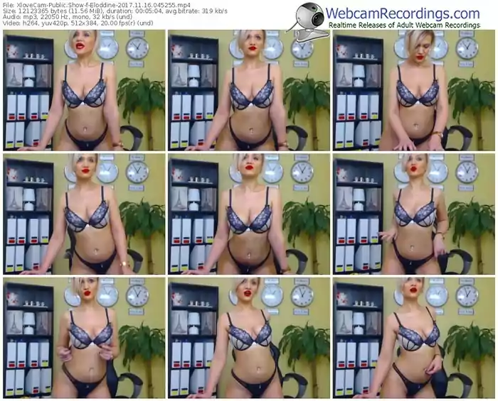 xlovecam-eloddine-webcam-show-11_16_2017-04_52_55