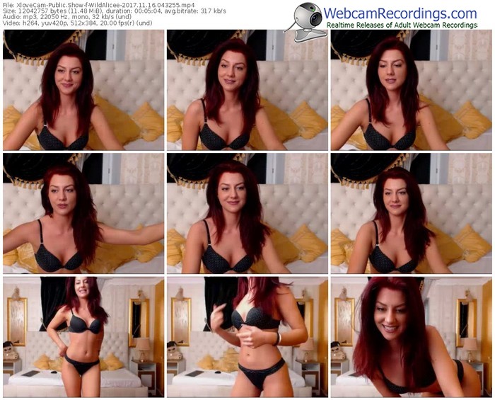 xlovecam-wildalicee-webcam-show-11_16_2017-04_32_55