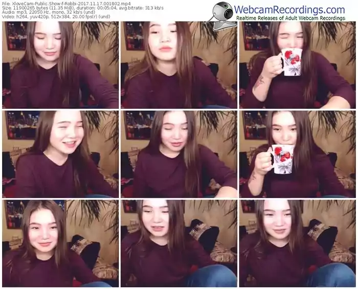xlovecam-robbi-webcam-show-11_17_2017-00_18_02