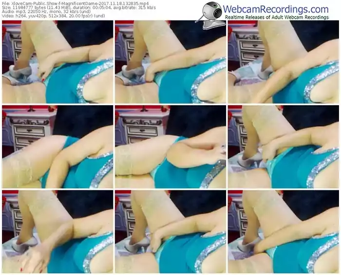 xlovecam-magnificentdame-webcam-show-11_18_2017-13_28_35