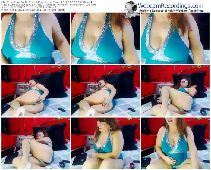 xlovecam-magnificentdame-webcam-show-11_18_2017-17_08_38