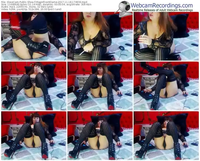 xlovecam-magnificentdame-webcam-show-11_18_2017-17_48_39
