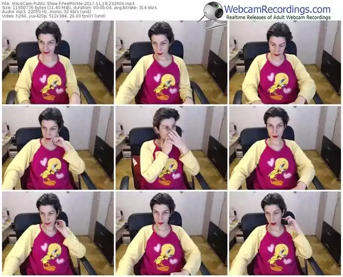 xlovecam-feelforme-webcam-show-11_19_2017-23_24_06