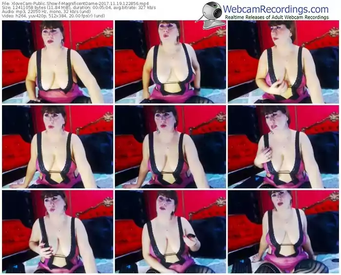 xlovecam-magnificentdame-webcam-show-11_19_2017-12_28_56