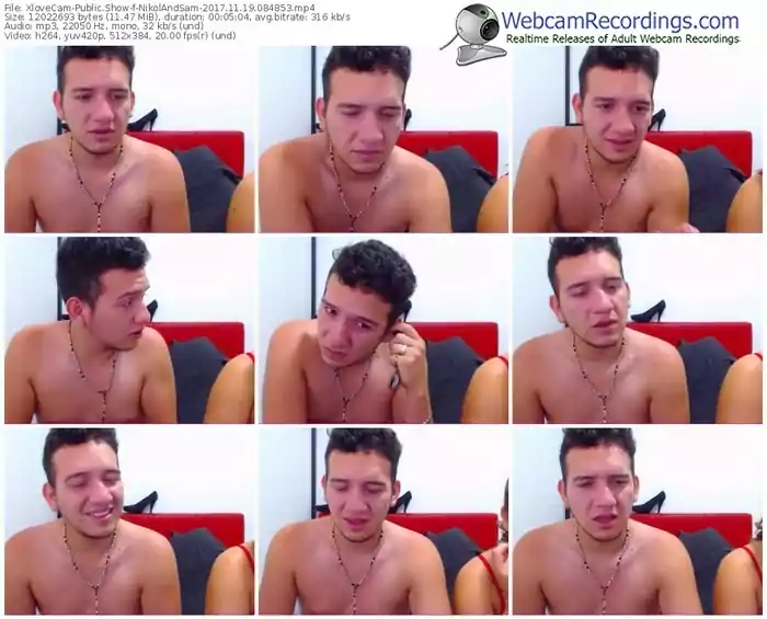 xlovecam-nikolandsam-webcam-show-11_19_2017-08_48_53