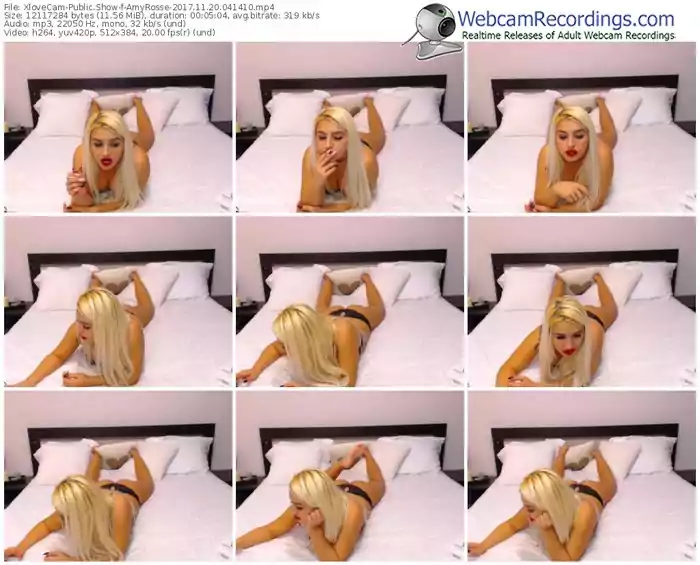 xlovecam-amyrosse-webcam-show-11_20_2017-04_14_10