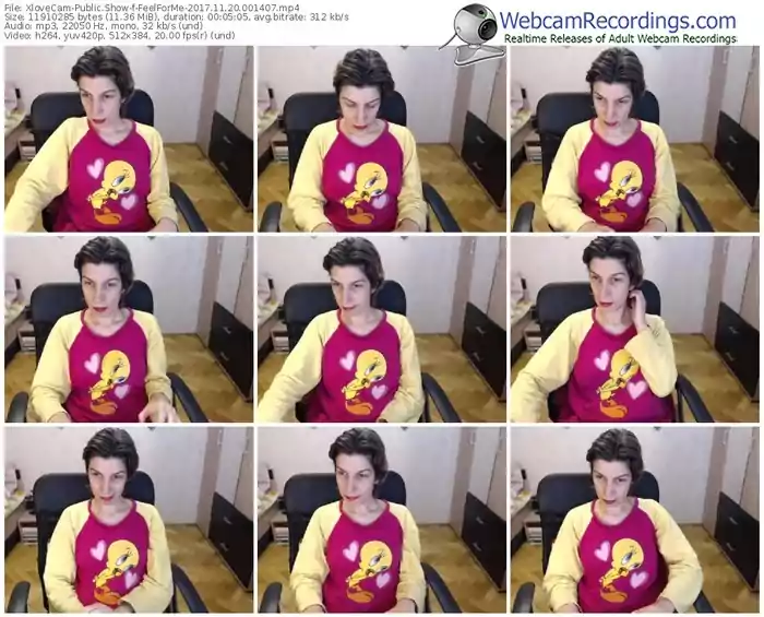xlovecam-feelforme-webcam-show-11_20_2017-00_14_07