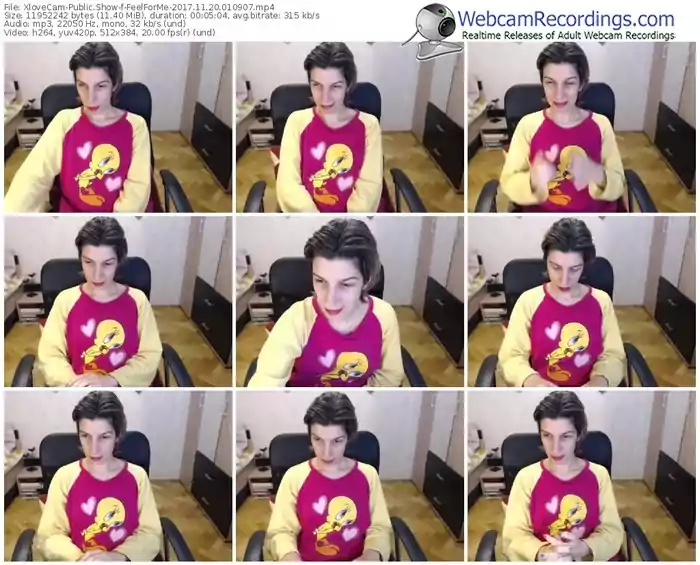 xlovecam-feelforme-webcam-show-11_20_2017-01_09_07