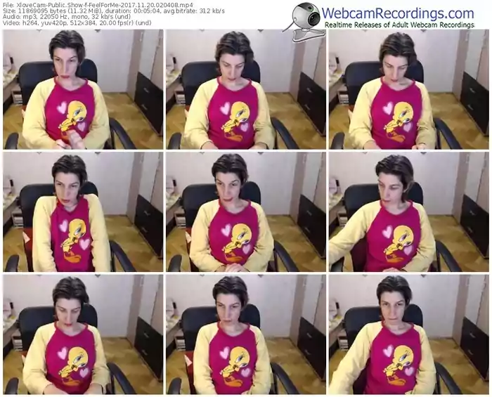 xlovecam-feelforme-webcam-show-11_20_2017-02_04_08