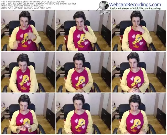 xlovecam-feelforme-webcam-show-11_20_2017-02_14_08