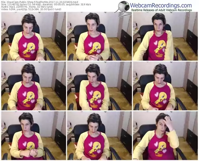 xlovecam-feelforme-webcam-show-11_20_2017-02_34_09