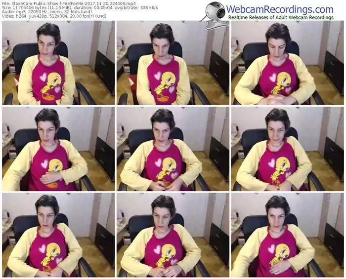 xlovecam-feelforme-webcam-show-11_20_2017-02_44_09