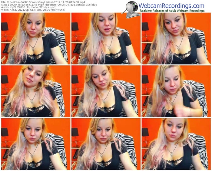 xlovecam-greylarissa-webcam-show-11_20_2017-01_54_08