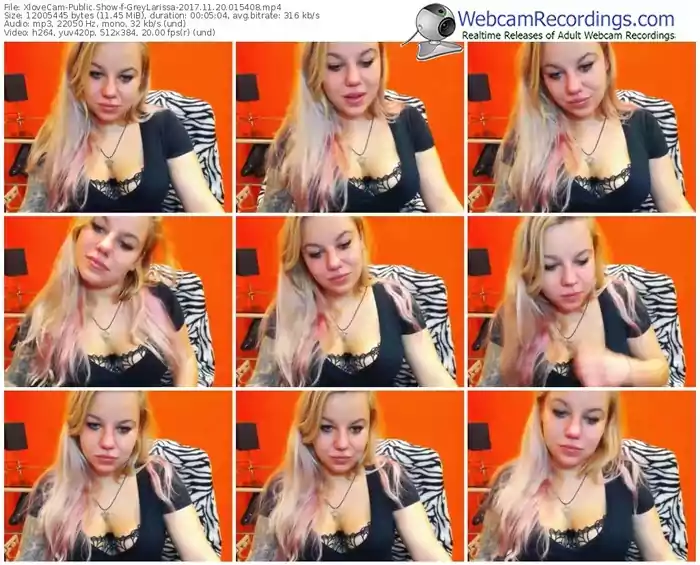 xlovecam-greylarissa-webcam-show-11_20_2017-01_54_08