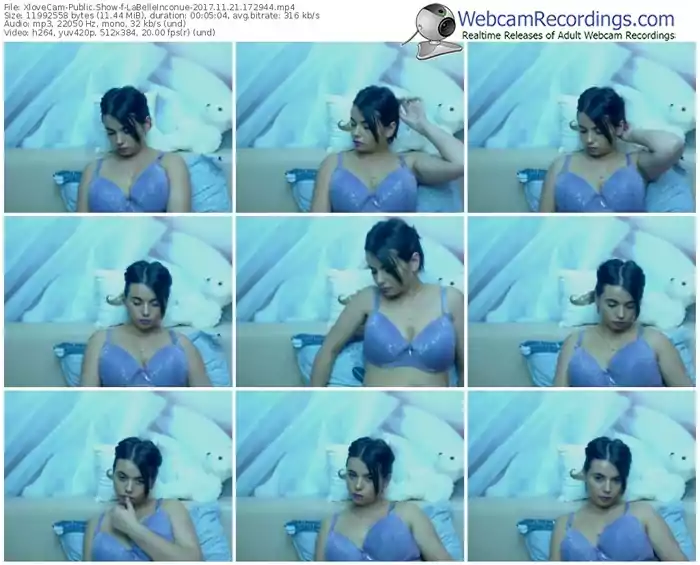 xlovecam-labelleinconue-webcam-show-11_21_2017-17_29_44