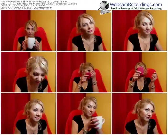 xlovecam-scarletslim-webcam-show-11_21_2017-09_14_36