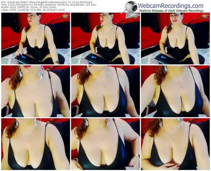 xlovecam-magnificentdame-webcam-show-11_22_2017-01_49_54