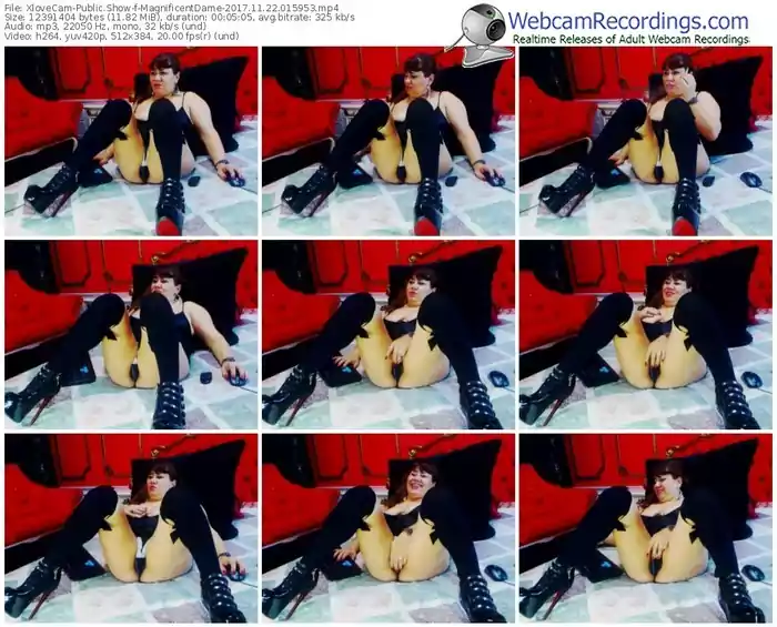 xlovecam-magnificentdame-webcam-show-11_22_2017-01_59_53