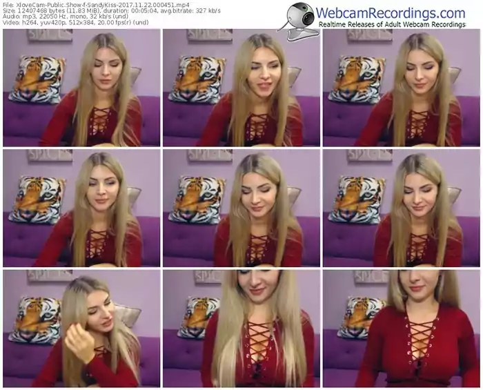 xlovecam-sandykiss-webcam-show-11_22_2017-00_04_51