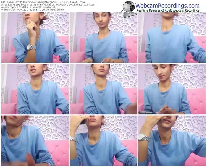 xlovecam-sandymorgan-webcam-show-11_22_2017-15_45_06