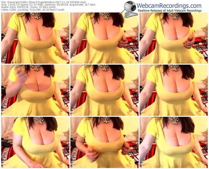 xlovecam-sugarboobsx-webcam-show-11_22_2017-02_59_56