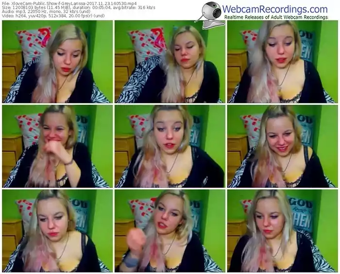 xlovecam-greylarissa-webcam-show-11_23_2017-16_05_30