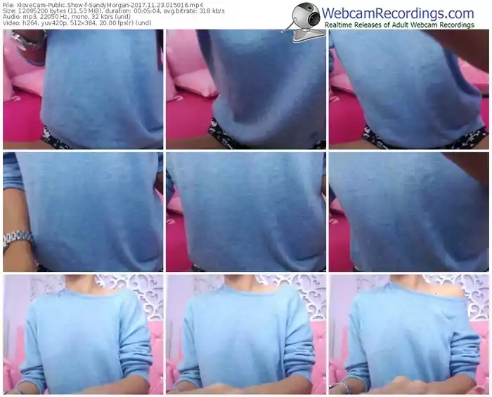 xlovecam-sandymorgan-webcam-show-11_23_2017-01_50_16