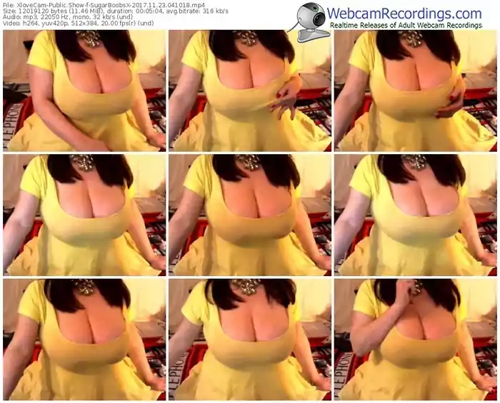 xlovecam-sugarboobsx-webcam-show-11_23_2017-04_10_18