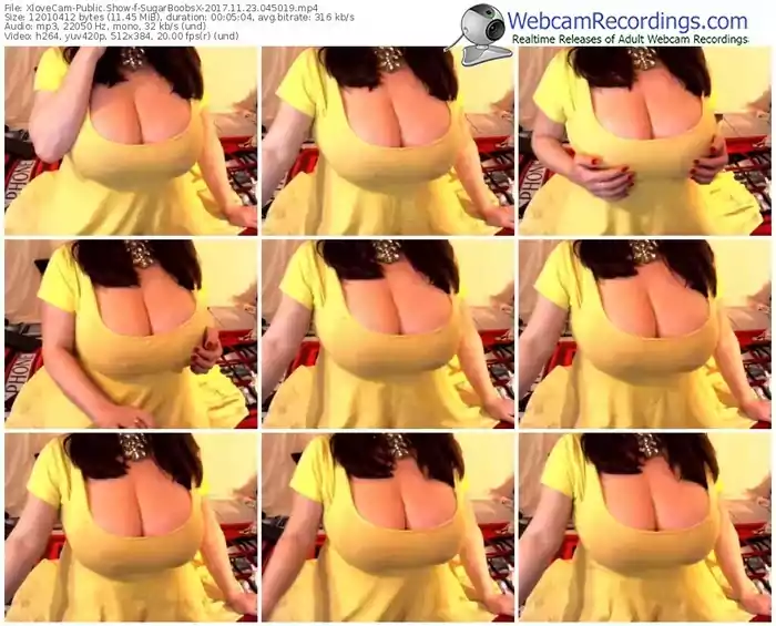 xlovecam-sugarboobsx-webcam-show-11_23_2017-04_50_19