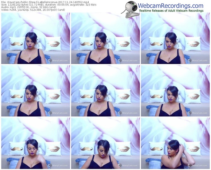 xlovecam-labelleinconue-webcam-show-11_24_2017-14_05_52