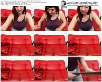 xlovecam-luisasaenz-webcam-show-11_24_2017-04_55_43