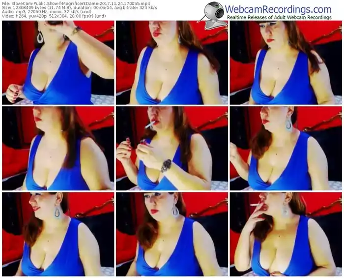 xlovecam-magnificentdame-webcam-show-11_24_2017-17_00_55
