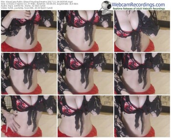 xlovecam-yourdaydreams-webcam-show-11_24_2017-06_35_45