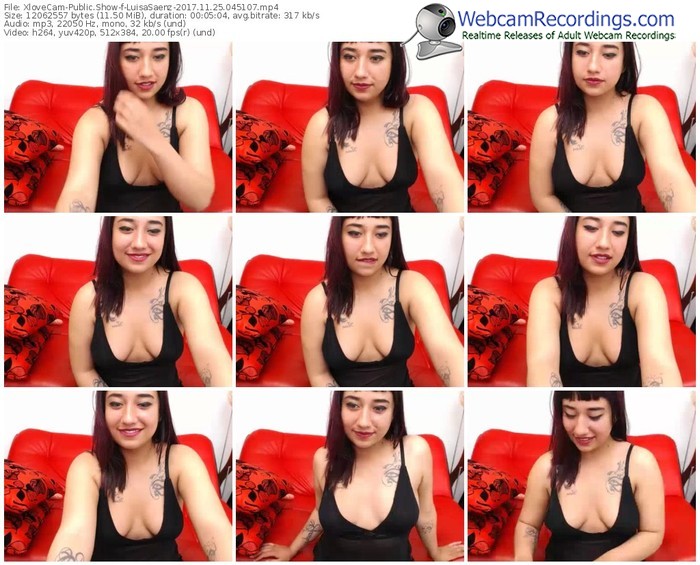 xlovecam-luisasaenz-webcam-show-11_25_2017-04_51_07